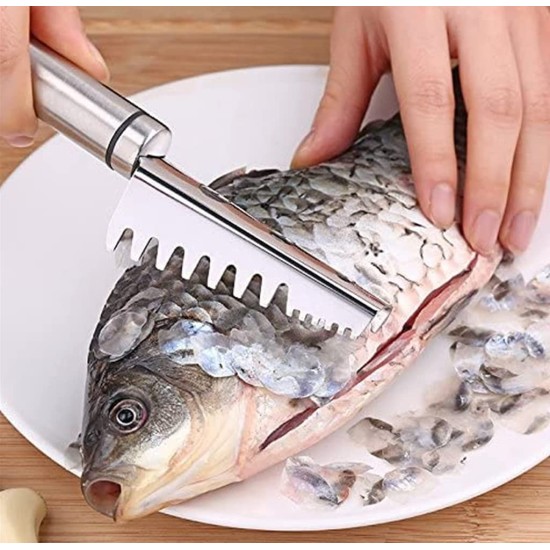 Fish Scale Remover Scraper