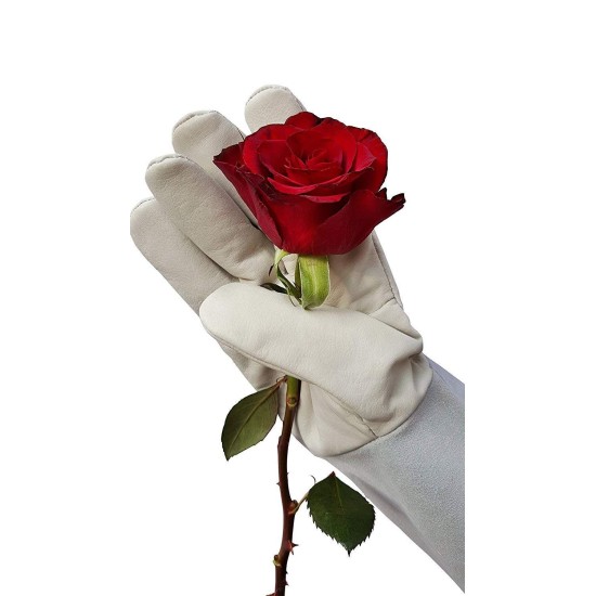 Leather Rose Gardening Gloves