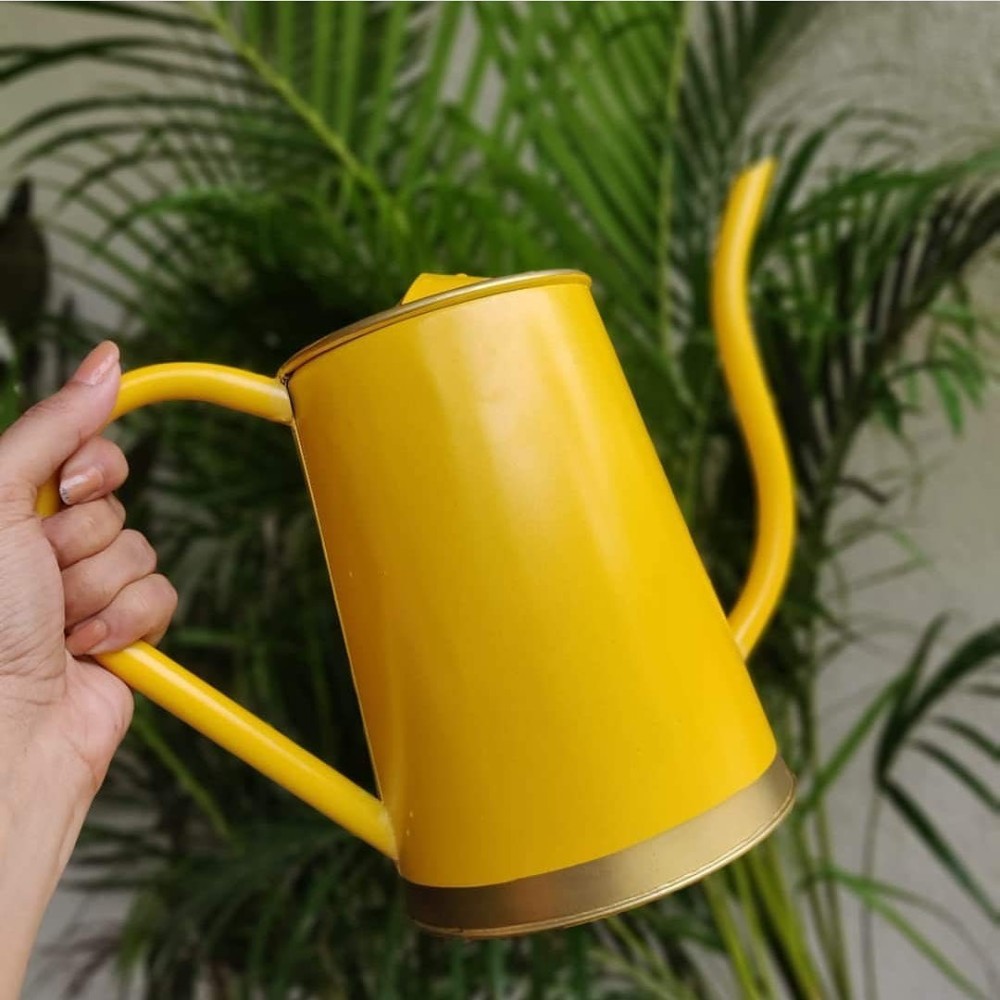 Metal Watering Can For Plants