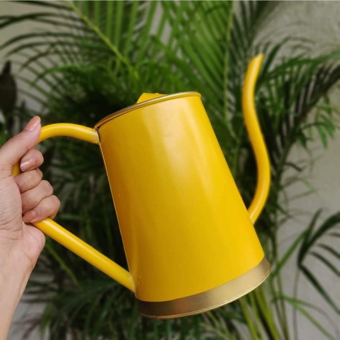 Metal Watering Can For Plants