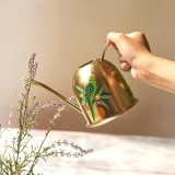 Mini Garden Watering Can